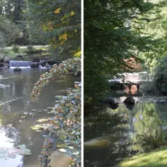 Urokliwe jeziora w parku mużakowskim, z kaskadą i mostkiem, otoczone zielenią. Kaczki pływają po spokojnej wodzie.