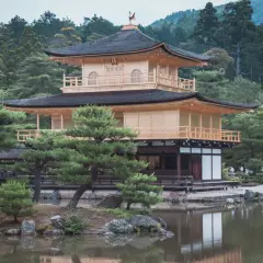Złoty Pawilon Kinkaku-ji w Kioto, otoczony zielenią i odbijający się w stawie.