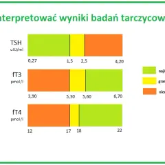 Badania tarczycy: Jakie wykonać? Kompleksowy przewodnik