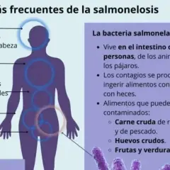 Síntomas de intoxicación alimentaria: ¿estás en riesgo? Identifícalos ya