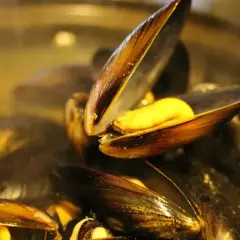 Moule normande c'est quoi ? Des moules cuites à la vapeur, ouvertes sur un jus doré. Un délice !