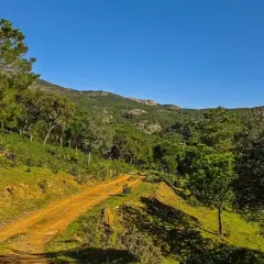 Camino rural en un bosque frondoso, con colinas verdes y un cielo azul despejado. Una **miranda del rey** natural.