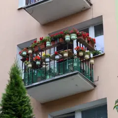 Kwiaty na wielopoziomowych półkach tworzą zieloną oazę, pokazując, jak przedłużyć balkon i stworzyć mini-ogród.