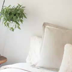 A cozy bedroom scene with a hanging plant, a bedside table, and plush pillows, including two shams, suggesting comfort and relaxation.
