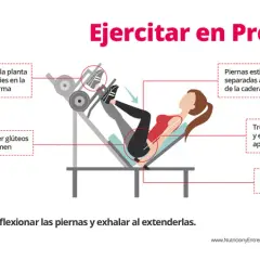 Todo lo que necesitas saber sobre la prensa gimnasio y sus beneficios