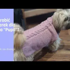 Jak zrobić sweterek dla psa - proste kroki, które zapewnią ciepło