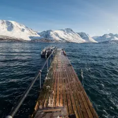 Najlepsze atrakcje w Tromsø, które musisz zobaczyć podczas wizyty
