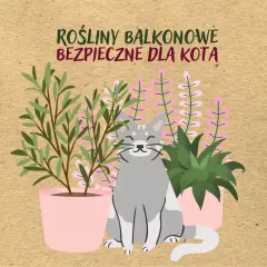 Uśmiechnięty kot siedzi wśród roślin balkonowych bezpiecznych dla kota.