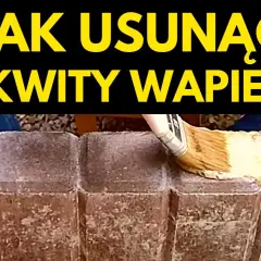 Czysty klinkier na tarasie? Poradnik: jak usunąć mech, wykwity i brud!