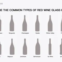 Illustrazione dei diversi nomi bottiglie vino: Bordeaux, Burgundy, Champagne, Hawke, Rhône Valley, Flute, Port, Magnum, Jeroboam, Salmanazar, Ice Wine, art wine.