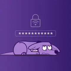 Smutny piesek leży pod polem wpisywania hasła do internetu.