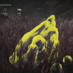 Far Cry Primal poradnik: zbieranie łupków do wytworzenia łuku. Wskazówka do gry.