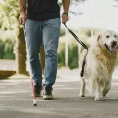 Wierny pies przewodnik prowadzi niewidomego mężczyznę przez park.