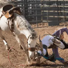 Niebezpieczny upadek z konia podczas rodeo. Jeździec leci w powietrzu, koń szaleje.