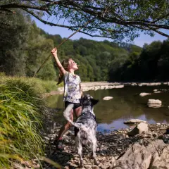 Najlepsze miejsca na spacer z psem w Podkarpackiem, które musisz znać