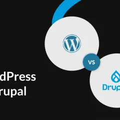 Drupal czy WordPress - który CMS lepszy dla Twojego projektu?