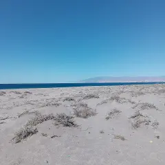 Arena y vegetación escasa en la playa de las amoladeras, con el mar azul y montañas al fondo bajo un cielo despejado.
