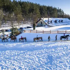 Grupa osób na koniach przechadza się po zaśnieżonym terenie obok pensjonatu.