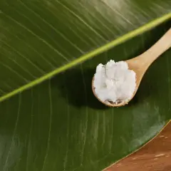 Un cucchiaio di legno contiene un cumulo di **zucchero alle piante**, posato su una foglia verde brillante.