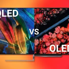 QLED vs OLED: Ein geteilter Bildschirm zeigt bunte Federn und eine Luftaufnahme eines Waldes.