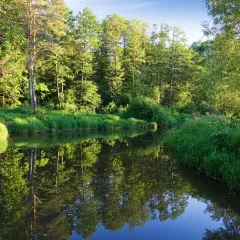 Ile rezerwatów przyrody w Polsce? Poznaj 1640 skarbów natury