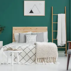 Chambre parentale cosy aux murs vert émeraude, lit en bois, plaids douillets et plantes vertes pour une ambiance relaxante.