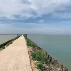 Un lungo molo di ghiaia si estende verso l'orizzonte, invitando a piacevoli passeggiate in Romagna. Il mare calmo e il cielo azzurro creano un'atmosfera serena.