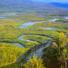 Vacker höstfärgad natur med en slingrande flod i Vadvetjåkka nationalpark.