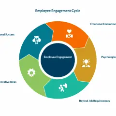 Employee engagement cycle diagram showing emotional commitment, psychological investment, going beyond job requirements, innovative ideas, and organizational success.