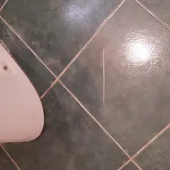Un carrelage rayé près des toilettes. Comment nettoyer cette rayure sur le carrelage ?