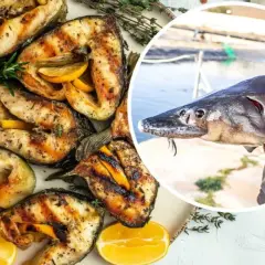 Grillowany jesiotr z cytryną, który obiecuje niezapomniany smak. Obok świeżo złowiony okaz.