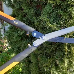 Ręka trzyma nożyce Fiskars, gotowe do przycinania gęstej, zielonej tuja kulista.