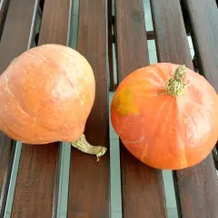 Dwie pomarańczowe dynie na drewnianym stole, idealne na puree z dyni dla niemowlaka.