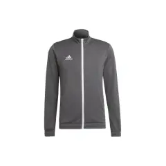 Szara bluza sportowa dres adidas entrada 22 z białym zamkiem i logo.