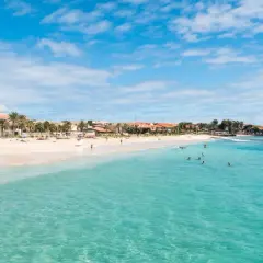 En vacker strand med turkost vatten och palmer. Människor badar och solar. En vy som påminner om en semester vid kap verde flygplats.