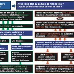 Algorithme de diagnostic des maux de tête, distinguant céphalées primaires et secondaires pour une prise en charge adaptée.