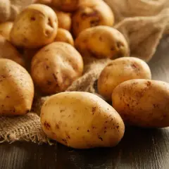 Ziemniaki na płótnie. Czy psy mogą jeść ziemniaki? Tak, ale tylko gotowane i bez przypraw.
