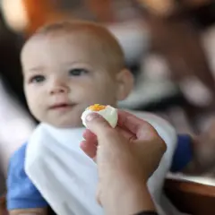 Un bébé d'un certain âge découvre le goût d'un œuf.