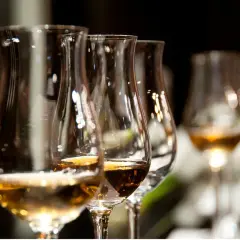 Verres de dégustation remplis de différents types de whisky, prêts pour une exploration des saveurs.