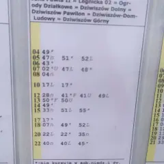 Rozkład jazdy wg przystanków: godziny odjazdów autobusów z poszczególnych miejscowości.