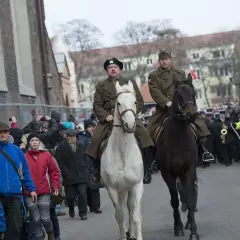Geodeta: Kim jest i dlaczego bez niego nie zbudujesz domu?