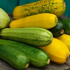 Un tas de courgettes vertes et jaunes, dont une courgette blanche pâle, reposent sur des planches de bois.