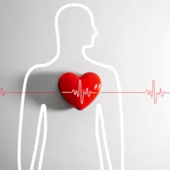 Czerwone serce z linią EKG na tle sylwetki człowieka. Jak uspokoić serce? Znajdź swój rytm.