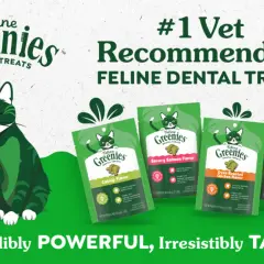 Greenies are good for cats! A green cat sits near bags of Feline Greenies dental treats in various flavors, advertised as #1 vet recommended.