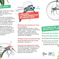 Un moustique d'eau, le moustique tigre, est représenté avec des détails pour le reconnaître. Il pique le jour.