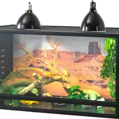 Jak zbudować terrarium dla żółwia? Praktyczny poradnik DIY