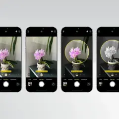 Sześć ekranów iPhone'a pokazuje, jak zrobic dobre zdjecia kwiatów, prezentując różne efekty oświetlenia portretowego: naturalne, studyjne, konturowe, sceniczne i monochromatyczne.