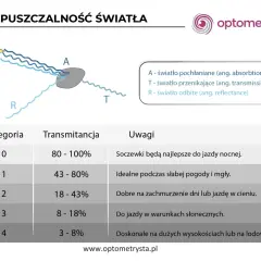 Jak daleko widzi gołąb? 340° wzroku i UV poznaj prawdę