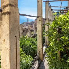 Vista dalla limonaia del castel, con alberi di agrumi e il lago sullo sfondo.