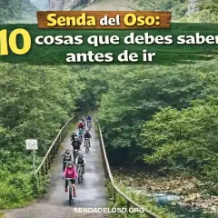 Grupo de ciclistas pedaleando en la Senda del Oso, un hermoso camino rodeado de exuberante vegetación y un río.
